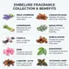 scented soy wax candies India