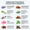 scented soy wax candles india